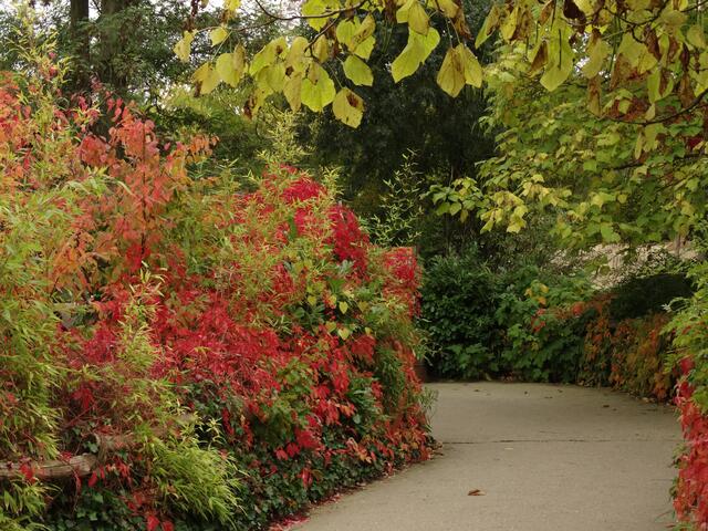 Indian Summer im Erlebniszoo Hannover