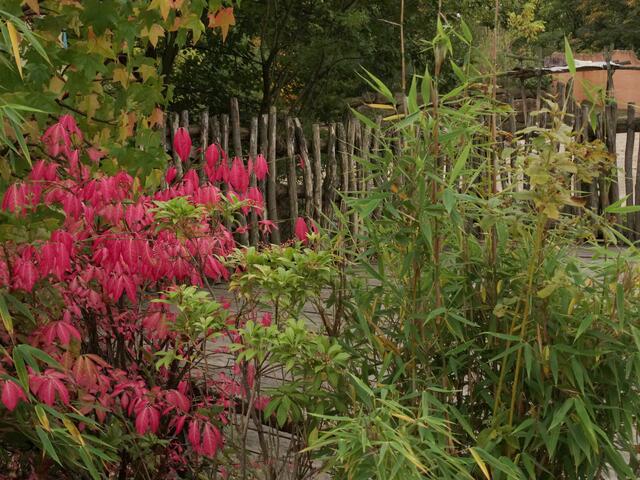 Indian Summer im Erlebniszoo Hannover
