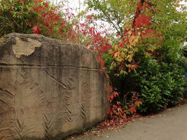 Indian Summer im Erlebniszoo Hannover
