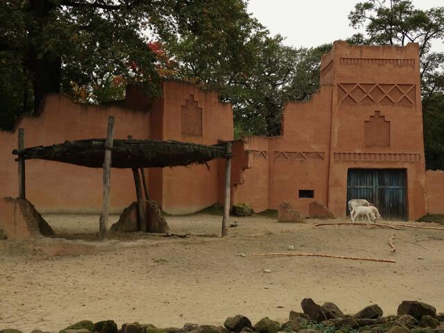 Indian Summer im Erlebniszoo Hannover