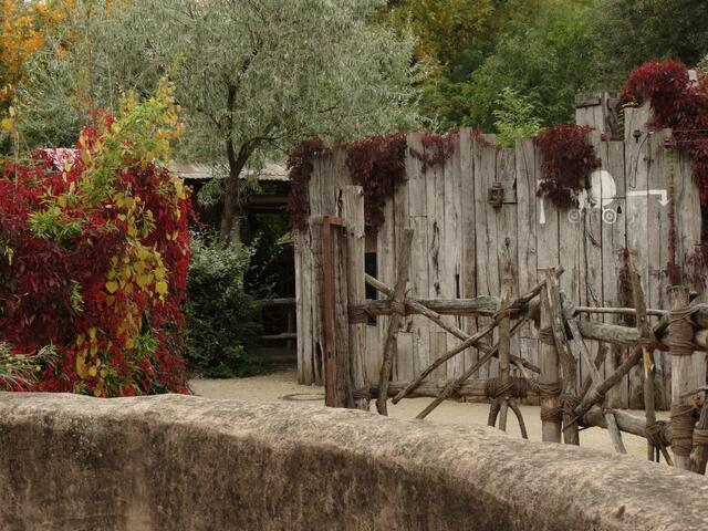 Indian Summer im Erlebniszoo Hannover