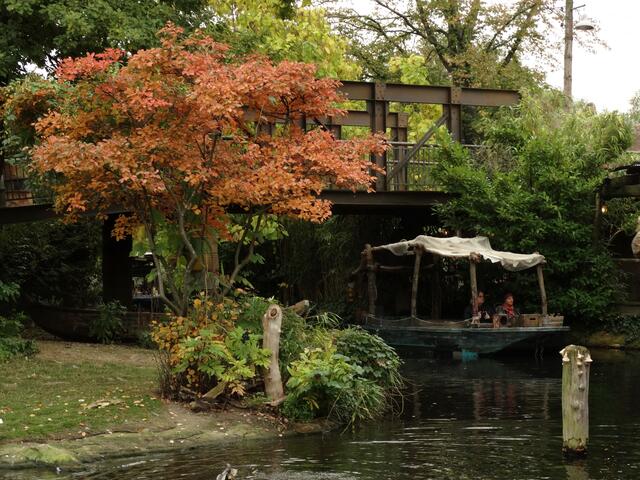 Indian Summer im Erlebniszoo Hannover