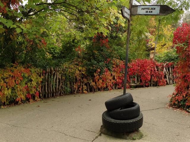 Indian Summer im Erlebniszoo Hannover