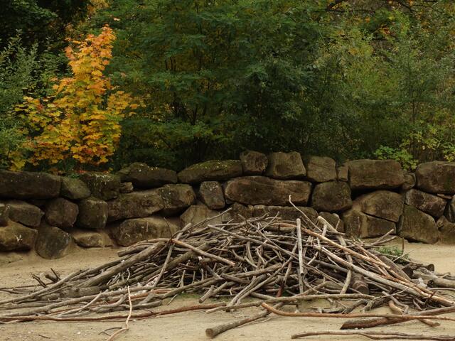 Indian Summer im Erlebniszoo Hannover