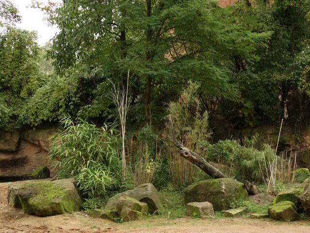 Indian Summer im Erlebniszoo Hannover