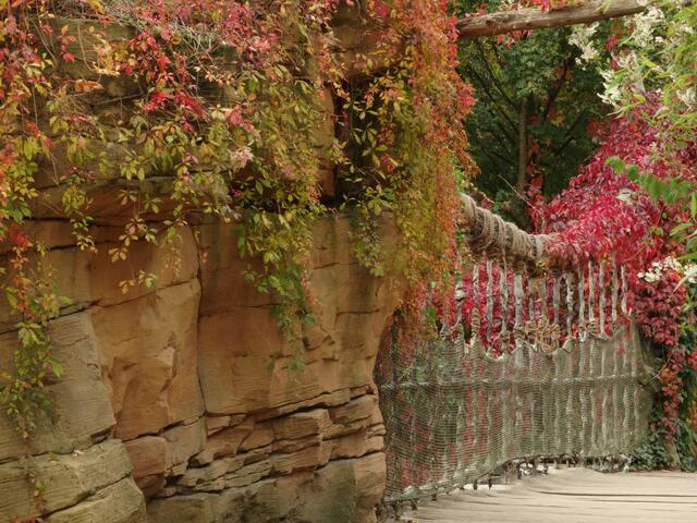 Indian Summer im Erlebniszoo Hannover