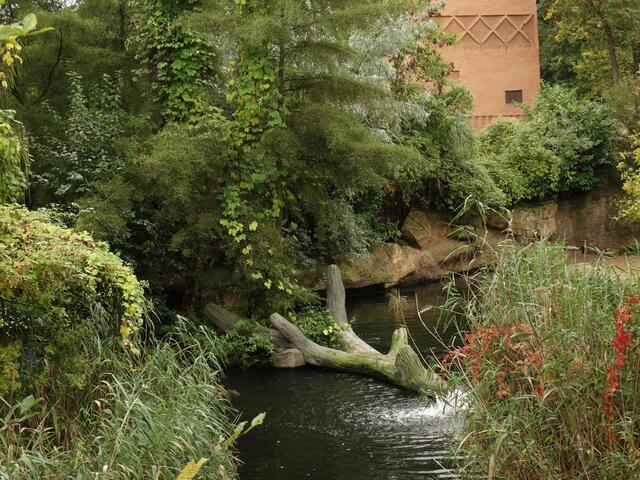 Indian Summer im Erlebniszoo Hannover