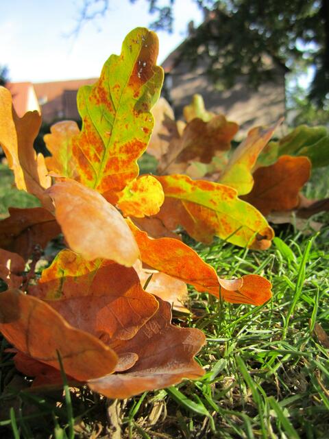 Herbstlicher Oktober