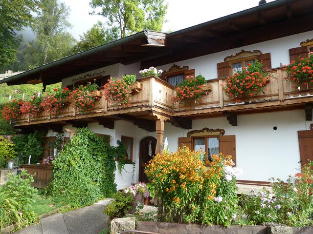 Wieder andere Balkonblumen.