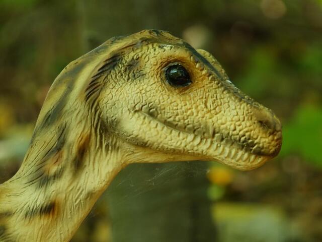 Im Dinosaurier-Park Münchehagen: Der Eryops