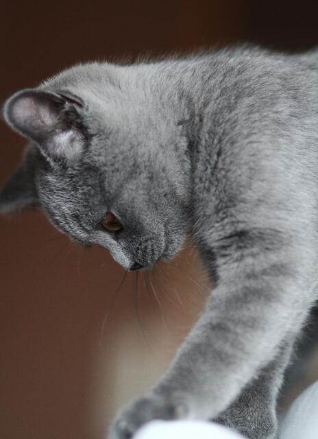 Was bewegt sich da unten