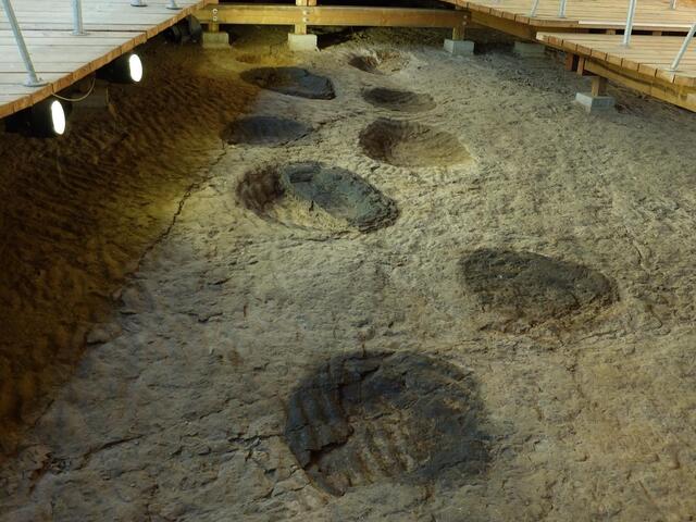 Fußabdrücke im Dinosaurier-Park Münchehagen