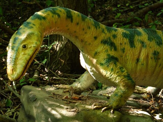Im Dinosaurier-Park Münchehagen: Der Protorosaurus