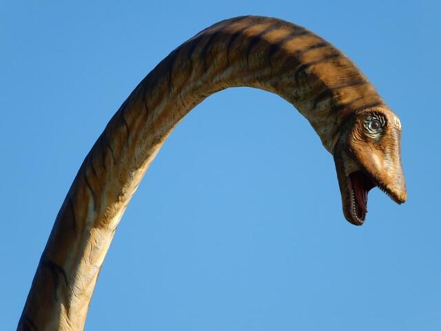 Im Dinosaurier-Park Münchehagen