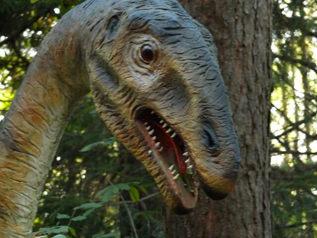 Im Dinosaurier-Park Münchehagen