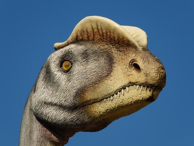 Im Dinosaurier-Park Münchehagen
