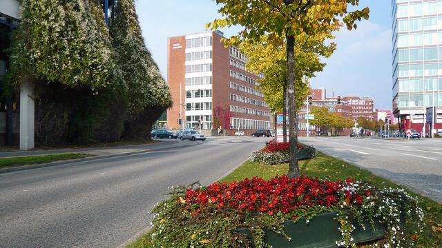 Die Kaistraße