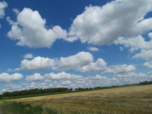 Blauer Himmel  -  mit hellen Wolken