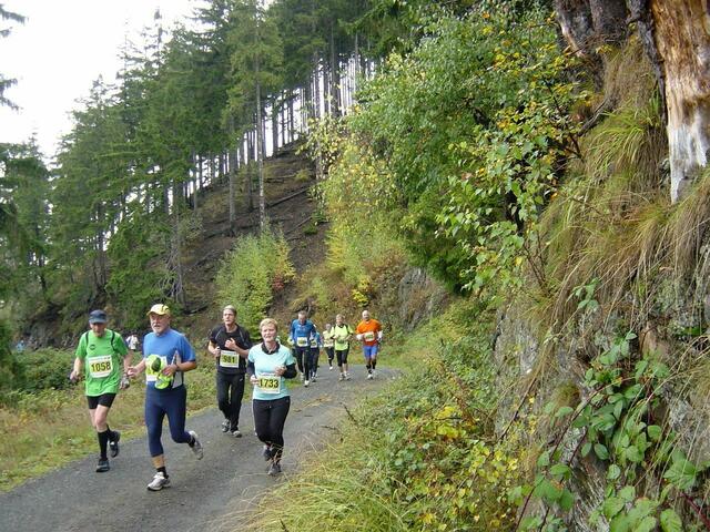 36. Harz-Gebirgslauf Wernigerode-Hasserode