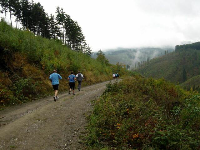 36. Harz-Gebirgslauf Wernigerode-Hasserode