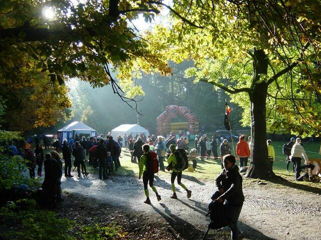 36. Harz-Gebirgslauf Wernigerode-Hasserode - Auch die Sonne kam kurz durch.