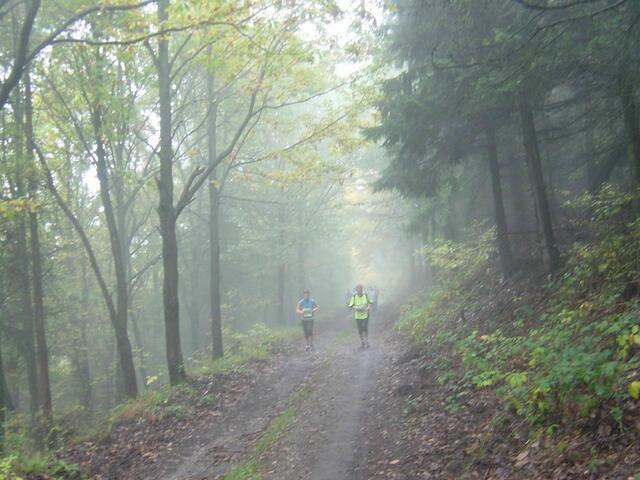 36. Harz-Gebirgslauf Wernigerode-Hasserode - Im Nebelwald.