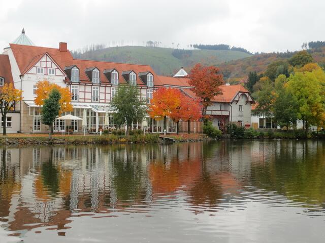 Der Dorfteich in Ilsenburg.