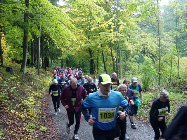 36. Harz-Gebirgslauf Wernigerode-Hasserode