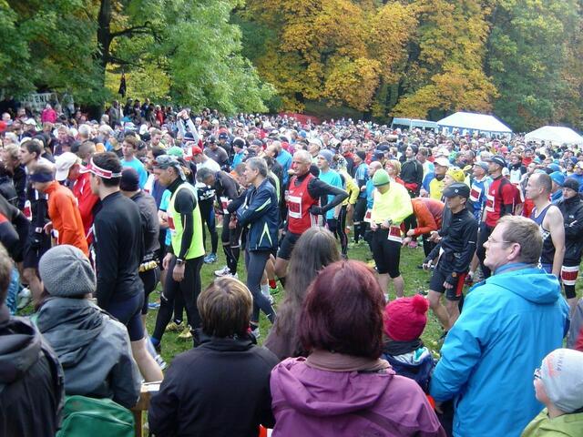 36. Harz-Gebirgslauf Wernigerode-Hasserode - Marathonstarterfeld.