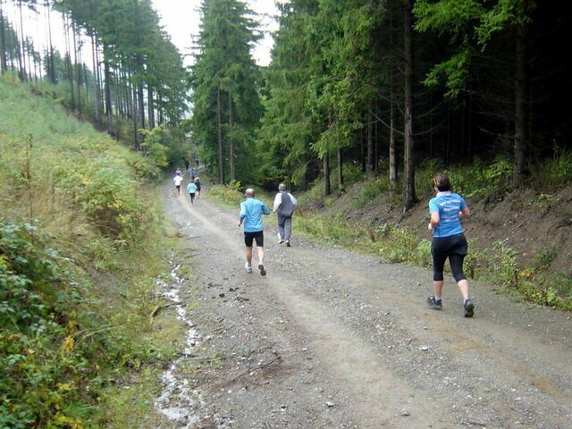 36. Harz-Gebirgslauf Wernigerode-Hasserode