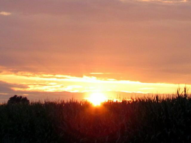 Schwerer erdrückter Sonnenaufgang