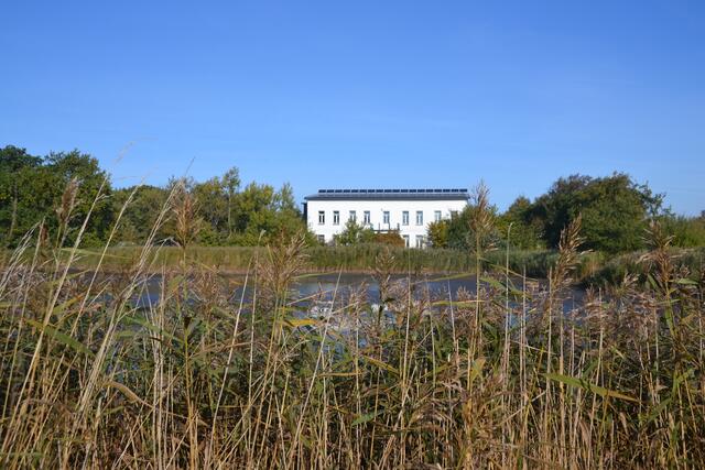 Im "Alten Gutshaus" des NABU-Wasservogelreservates Wallnau wartet eine interessante Ausstellung zum Thema "Vogelzug" auf sie. (©Katja Woidtke)