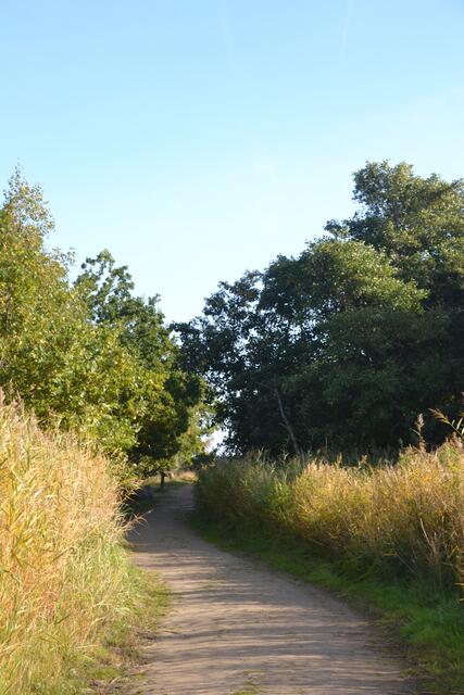 Am Naturlehrpfad befinden sich viele interessante Stationen. Mal sehen, was uns am Ende des Weges erwarten wird... (©Katja Woidtke)