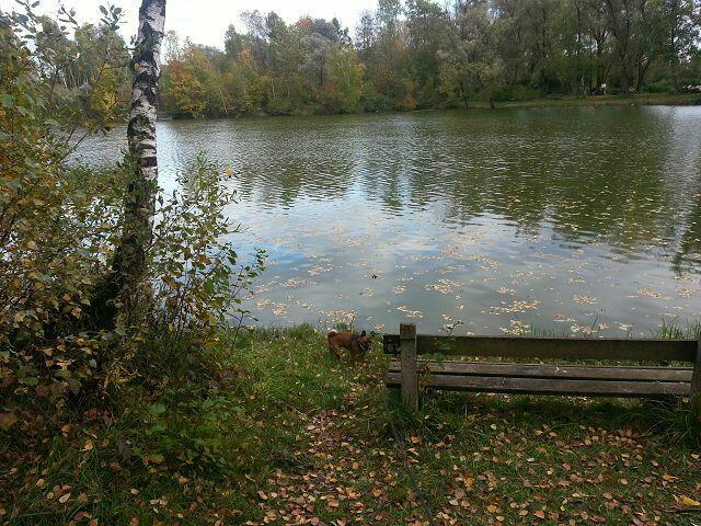 Gehn wir weiter??? HIer ist nichts Besonderes!