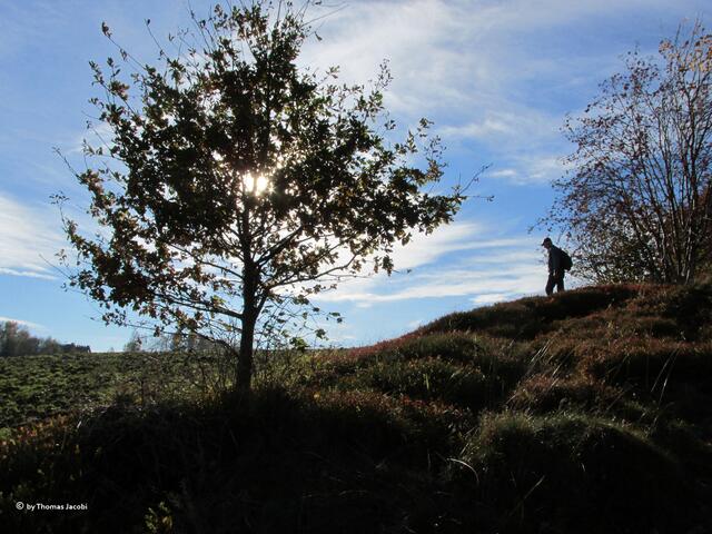 Ein Wanderer...