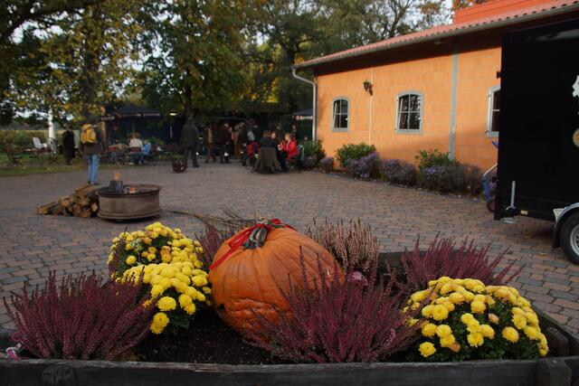 Herbst und Hubertusjagd gehören zusammen