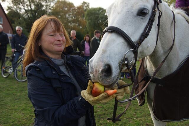 Ich stifte mein Lieblingsgemüse dem Pferd