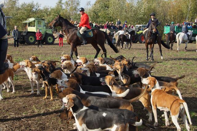 Spannung vor dem Start