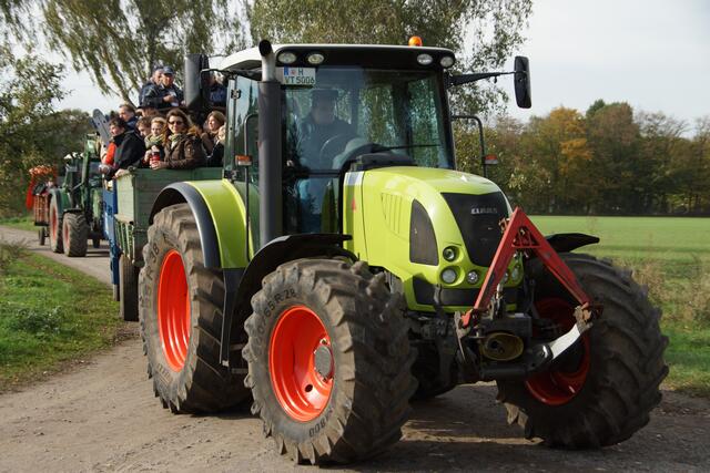 Ein ordentliches "Zugpferd"