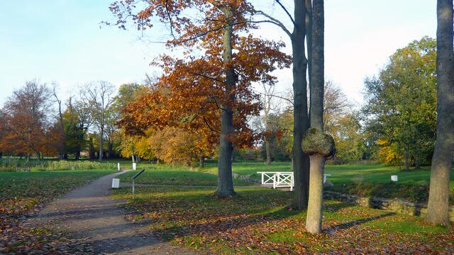 Parkanlage in der Nähe des Münsters