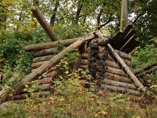 Indian Summer im Erlebniszoo Hannover