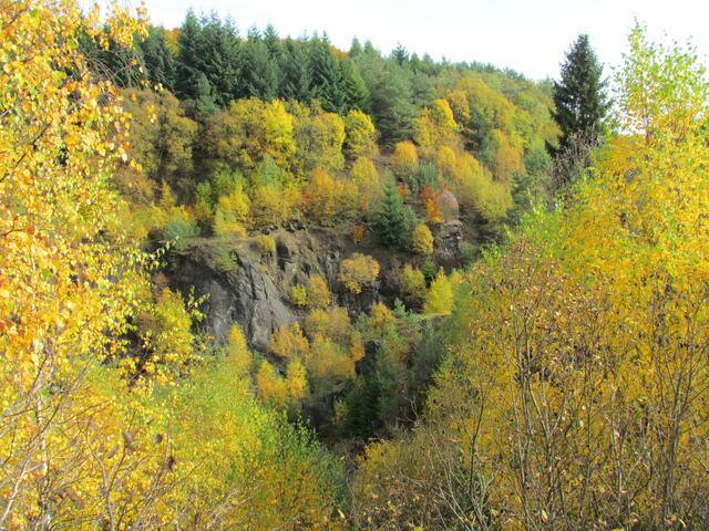 Steinbruchblick in den Mischwald