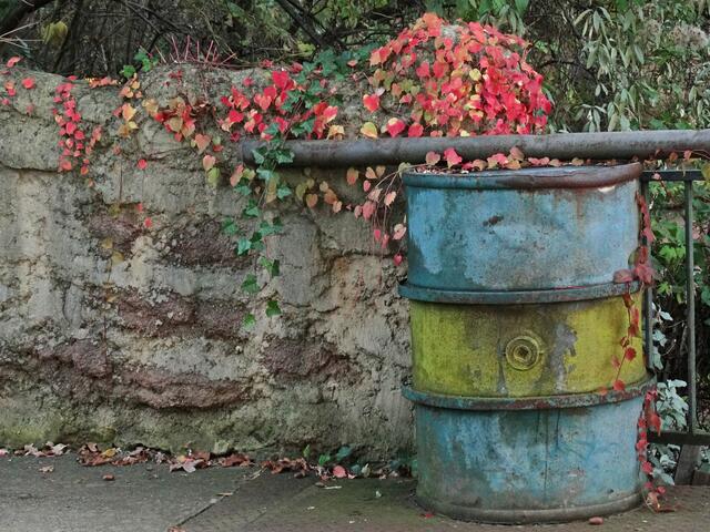 Indian Summer im Erlebniszoo Hannover