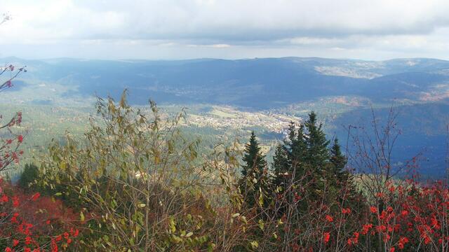 Fernblick