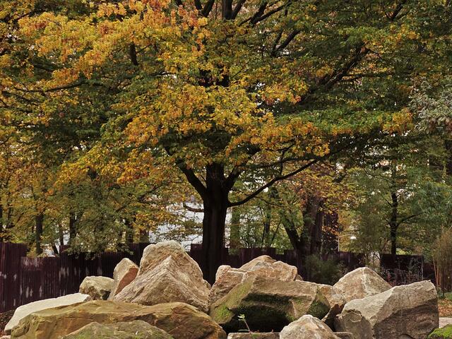 Indian Summer im Erlebniszoo Hannover