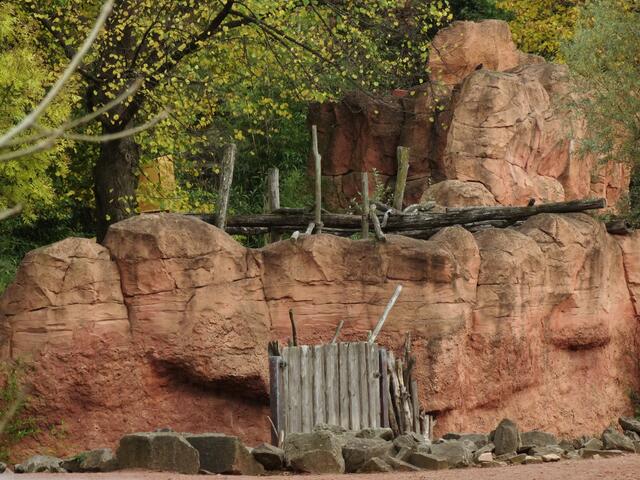 Indian Summer im Erlebniszoo Hannover
