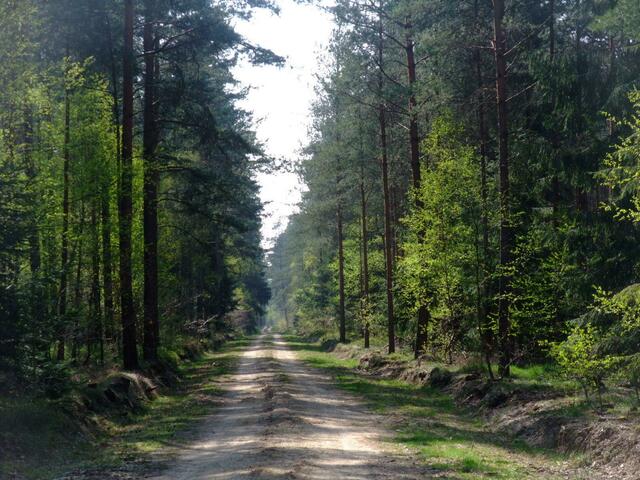 Burgdorfer Land - Serie von OKOK Television - Im Detail: Hülptingsen.