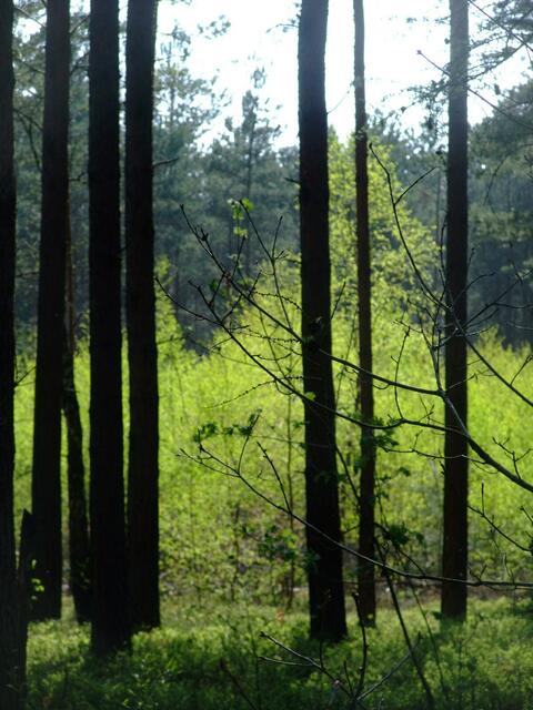 Burgdorfer Land - Serie von OKOK Television - Im Detail: Hülptingsen.