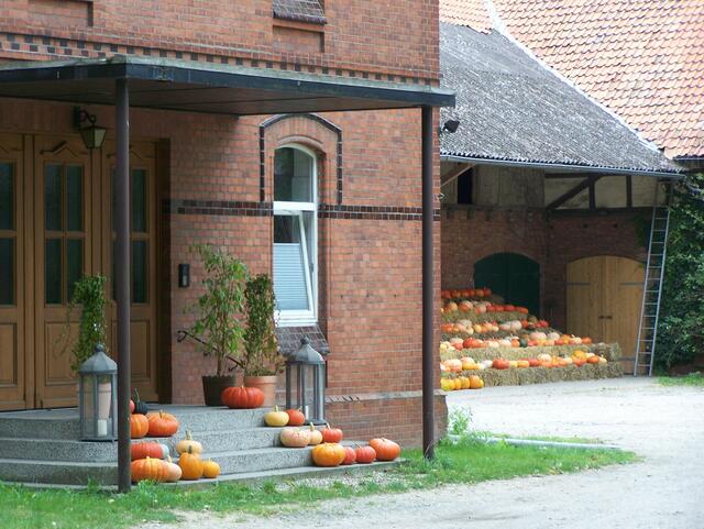 Burgdorfer Land - Serie von OKOK Television - Im Detail: Hülptingsen.