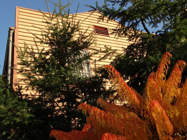 Indian Summer im Erlebniszoo Hannover